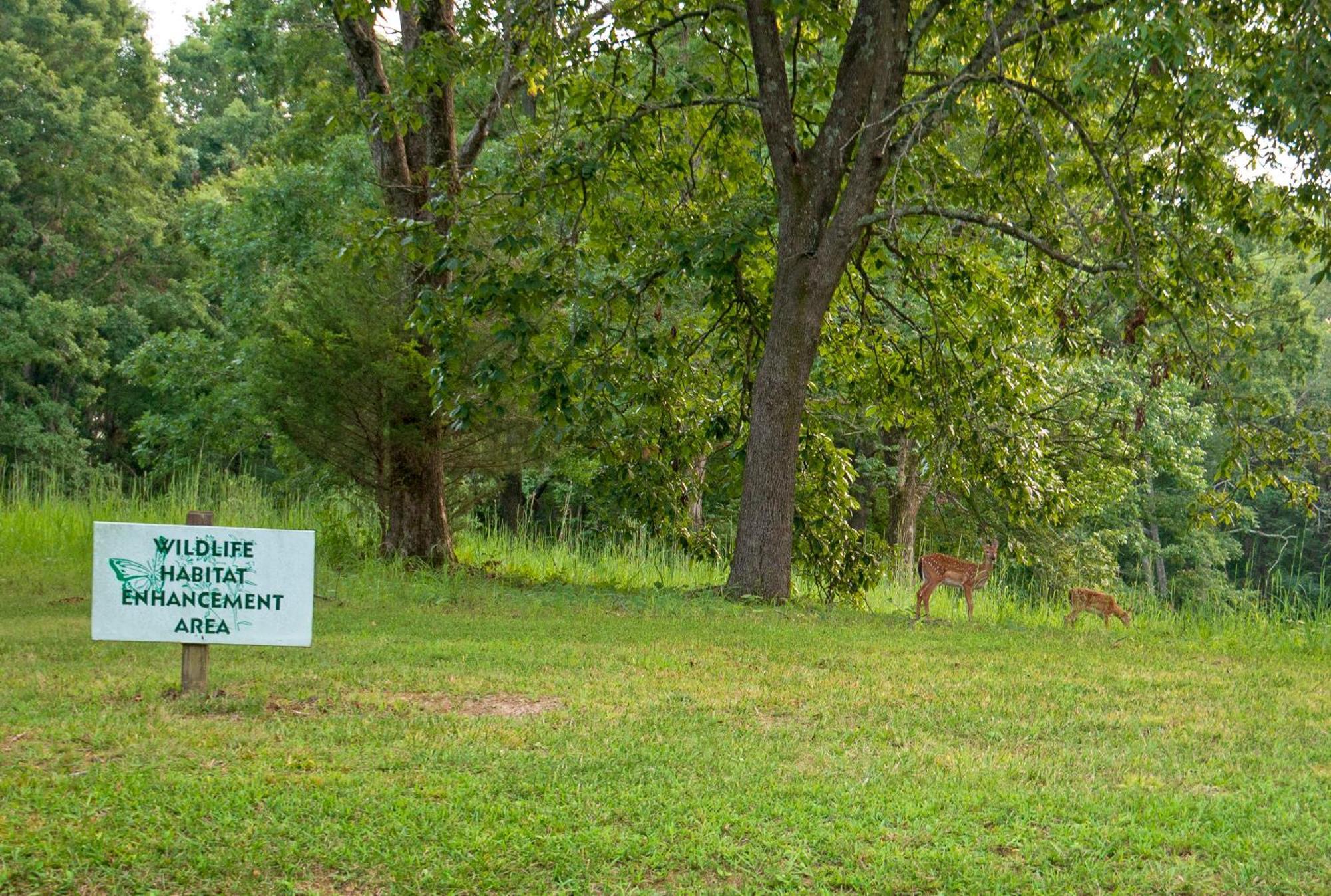 Barren River Lake State Park